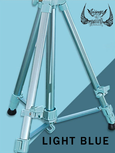 lightduty_lightblue